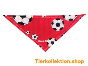 Bandana Hopp Schwiiz