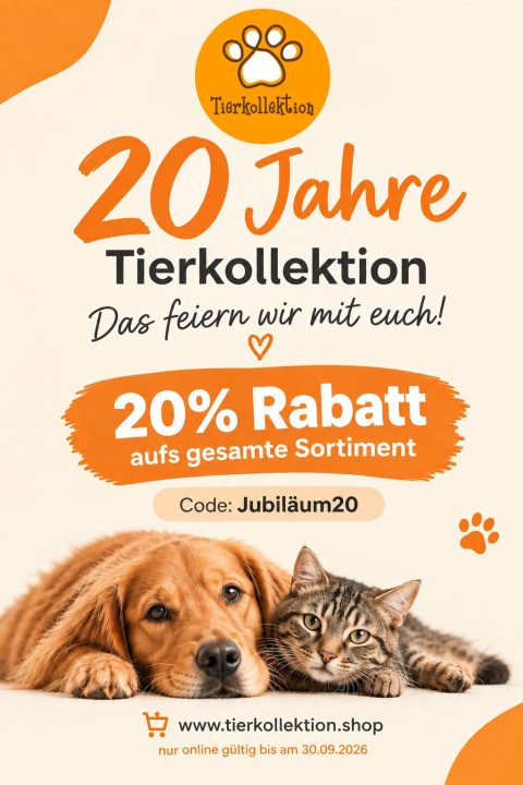 Jubiläum Flyer Rabatt